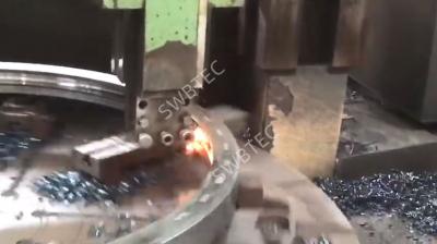 SWBTEC's Slewing Bearing Grinding the Raceway